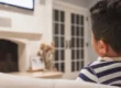 12 best toddler tv shows