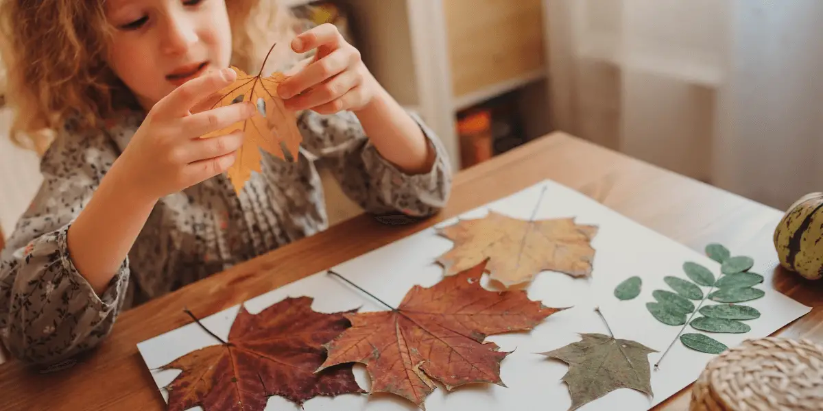 Preschool leaf activities that are fun and educational