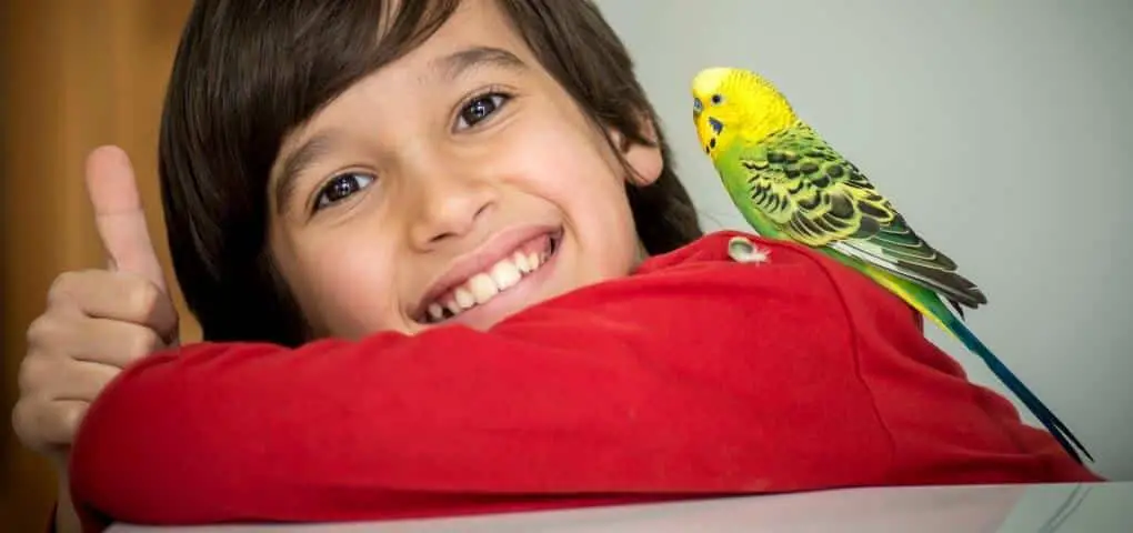 bird perched on a boy's shoulder