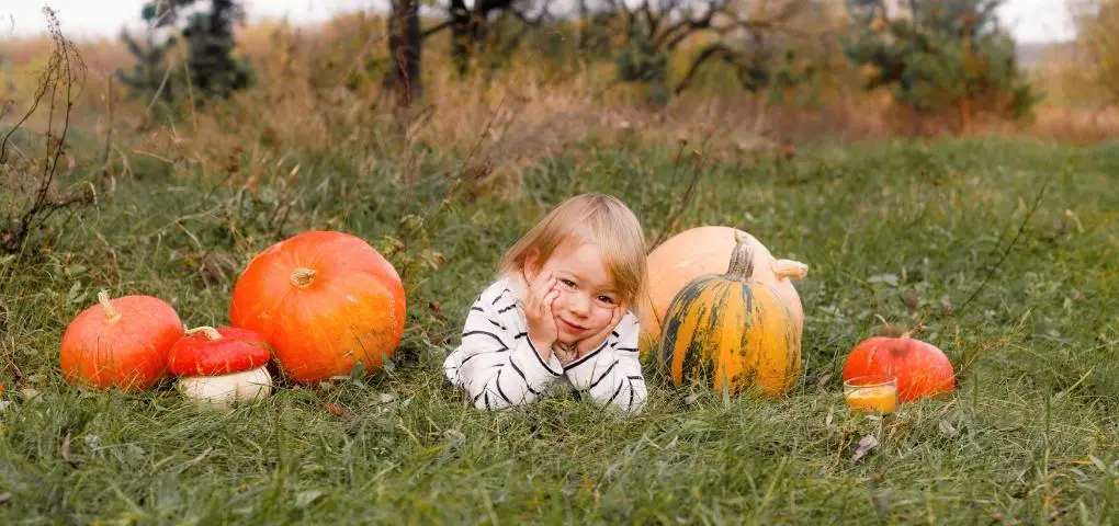 kid with pumpkins
